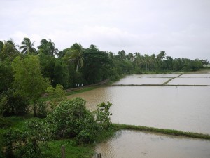 P1430506